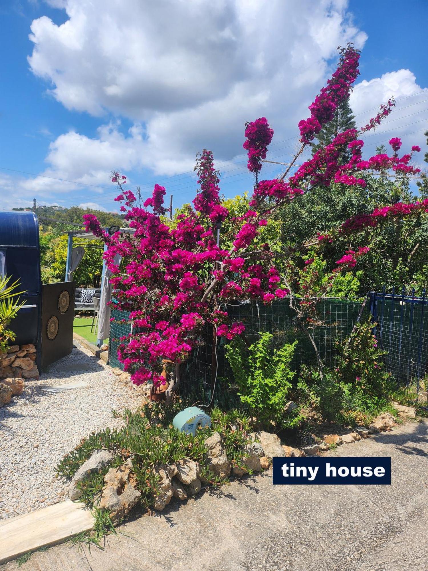 Dream Tiny House Or Luxus Tent With Pool La Canée Extérieur photo